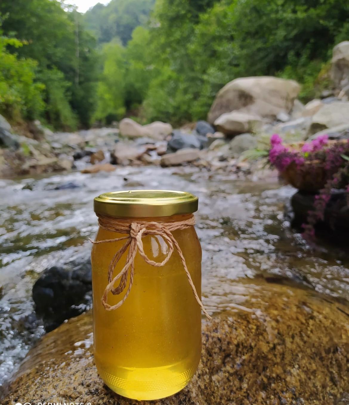 Rize çiçek balı 500 gr